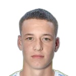 Robert Tomanek portrait